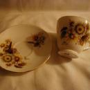 Duchess Cup and saucer, browns and golds flowers