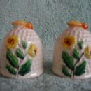 Bee Hive Salt and Pepper Shakers