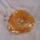 Fenton Holly Marigold 9
