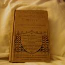 The Great Leaders and National Issues of 1896