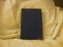 Jesting Pilate, The Diary of A Journey