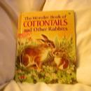 The Wonder Book of Cottontails and other Rabbits, #852