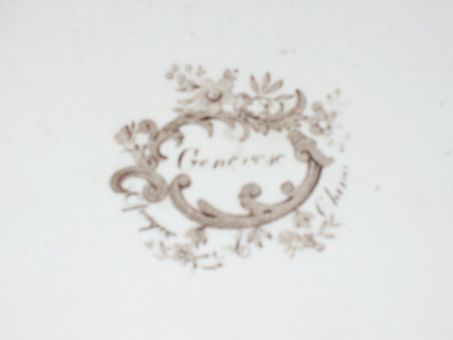 Ironstone Dinner Plates (set of 7)