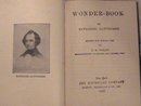 Hawthorne's The Wonder-Book cp 1929