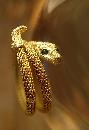 Victorian Mesh snake Snake Ring Green eyed snake charmer serpent