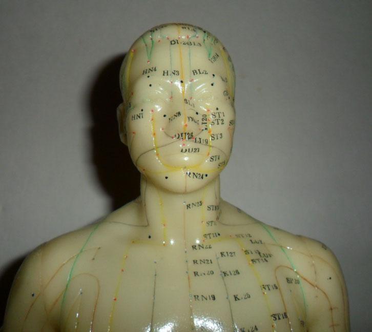 Vintage Acupuncture model in original book Flexible Male on wood stand