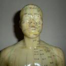 Vintage Acupuncture model in original book Flexible Male on wood stand