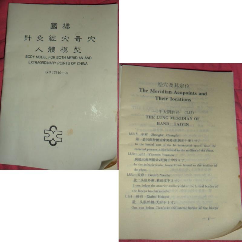 Vintage Acupuncture model in original book Flexible Male on wood stand