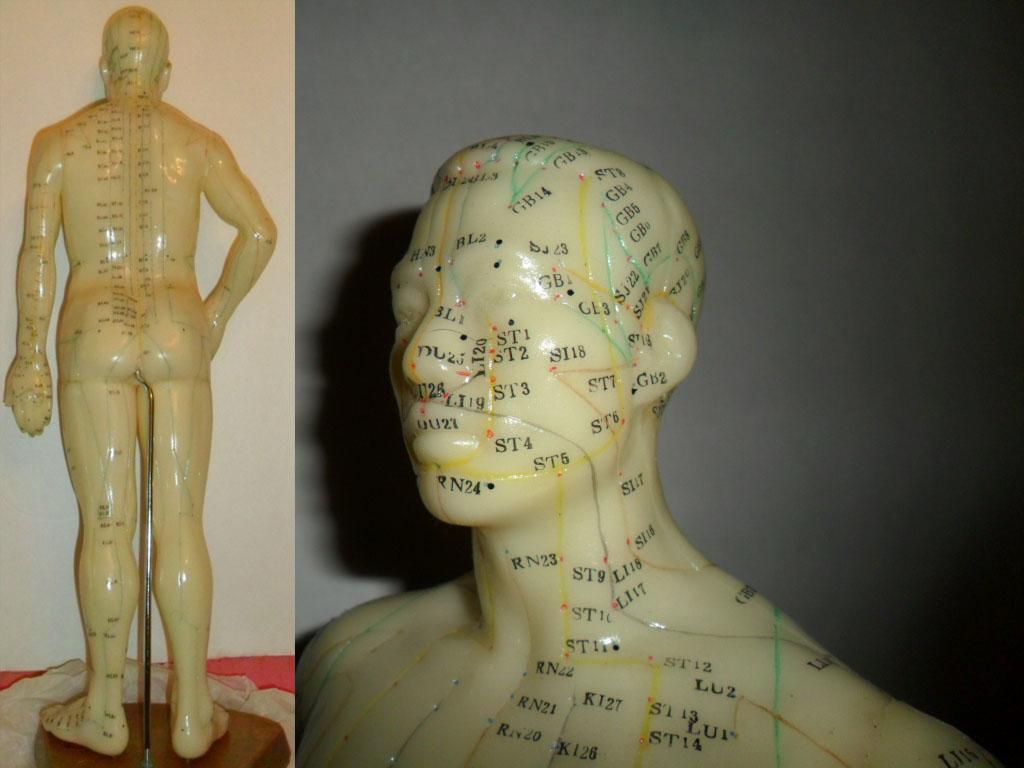 Vintage Acupuncture model in original book Flexible Male on wood stand