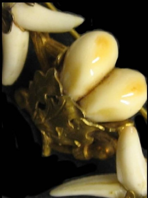 RARE 14KT GOLD PRe Civil war Aesthetic tooth brooch