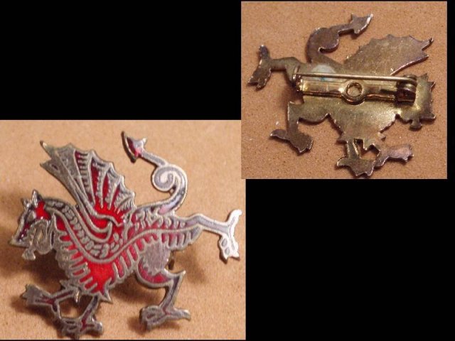 Bizarre Dragon Mythological ENAMEL GOTHIC old Brooch