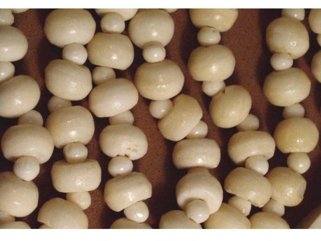 PRIMITIVE Ivory BONE Carved Pendant necklace hand sewn