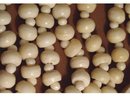 PRIMITIVE Ivory BONE Carved Pendant necklace hand sewn