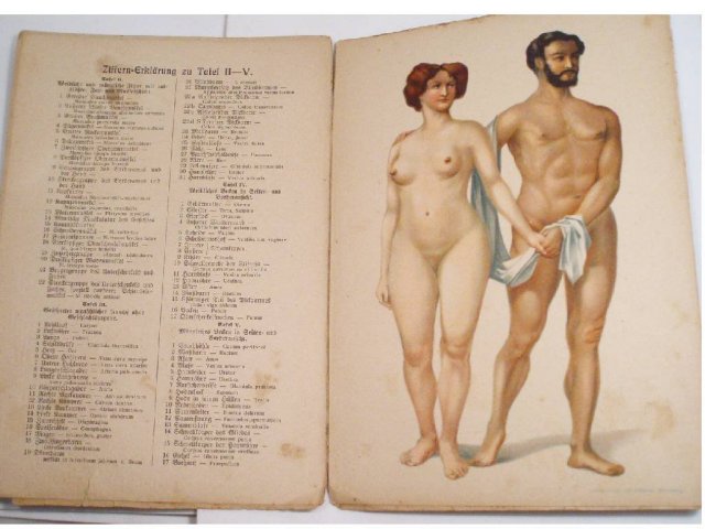 Cissarz ART nude German sex manual Lithograph