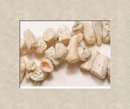 Bizarre CHUNKY Angelskin CORAL thick necklace