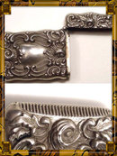 Exquisite Victorian Repousse ornate Matchsafe