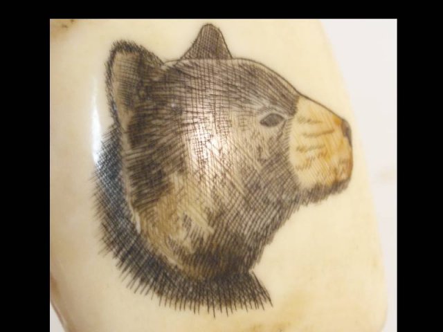 Vintage carved SCRIMSHAW Bear TOOTH on stand