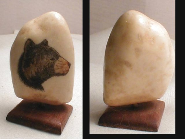 Vintage carved SCRIMSHAW Bear TOOTH on stand