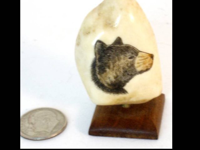 Vintage carved SCRIMSHAW Bear TOOTH on stand