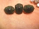 ANtique Grand Tour Genuine Scarab Victorian brooch