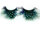 Peacock Feather Fetish Sexy long Eyelashes GREAT for Halloween