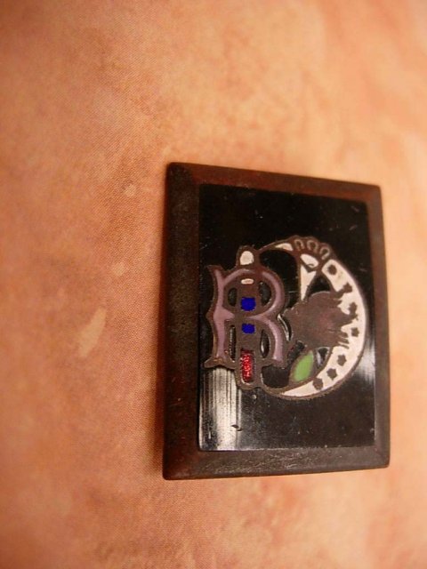 ANtique enamel Oddfellows Rebekah order Brooch