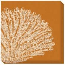 New Canvas C. Hohe Reproduction Canvas Gallery-Wrapped Framed Shells Cora WA-159