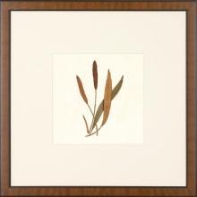 New Print Anonymous Reproduction Framed Flowers Plants Squared Ferns Recta WA-28