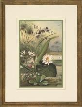 New Print Anonymous Reproduction Framed Flowers Plants Water Lilies Rectan WA-10
