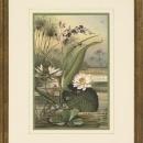 New Print Anonymous Reproduction Framed Flowers Plants Water Lilies Rectan WA-10
