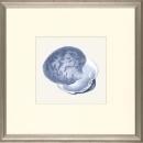New Print E. Donovan Reproduction Framed Sealife Azure Shells Rectangle WA-210