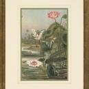 New Print Anonymous Reproduction Framed Flowers Plants Water Lilies Rectan WA-11