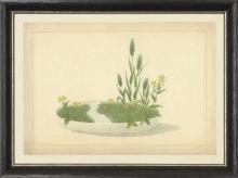 New Print Anonymous Reproduction Framed Trees Large Zen Gardens Rectangle WA-84
