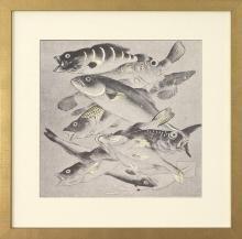 New, Large Fine Art Giclee Print, Japanese Fish Carp Koi, Reproduction, Framed