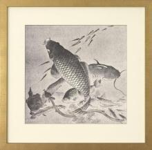 New Giclee Print Audsley amp Bowes Reproduction Framed Fish Japanese Carp WA-132