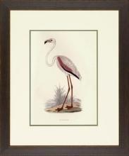 New Print Rev. F.O. Morris Reproduction Framed Sealife Shore Birds Rectan WA-388