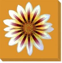 New Canvas Anne Croy Reproduction Canvas Gallery-Wrapped Framed Flowers Pla WA-4