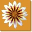 New Canvas Anne Croy Reproduction Canvas Gallery-Wrapped Framed Flowers Pla WA-4