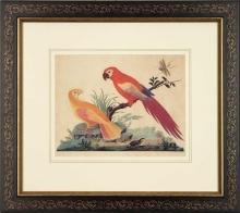 New Artwork Vittorio Ranier Reproduction Framed Wildlife Chinoiserie Bird WA-430