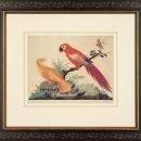 New Artwork Vittorio Ranier Reproduction Framed Wildlife Chinoiserie Bird WA-430
