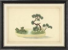 New Print Anonymous Reproduction Framed Trees Large Zen Gardens Rectangle WA-85