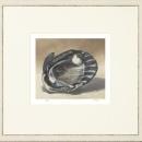 New Print Mark Fetty Reproduction Framed Shells Small Shell Study Rectang WA-351