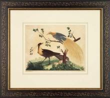 New Artwork Vittorio Ranier Reproduction Framed Wildlife Chinoiserie Bird WA-433
