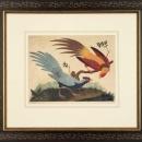New Artwork Vittorio Ranier Reproduction Framed Wildlife Chinoiserie Bird WA-432