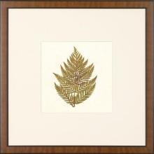New Print Anonymous Reproduction Framed Flowers Plants Squared Ferns Recta WA-33