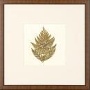 New Print Anonymous Reproduction Framed Flowers Plants Squared Ferns Recta WA-33