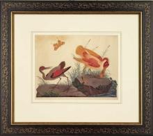 New Artwork Vittorio Ranier Reproduction Framed Wildlife Chinoiserie Bird WA-431