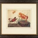 New Artwork Vittorio Ranier Reproduction Framed Wildlife Chinoiserie Bird WA-431