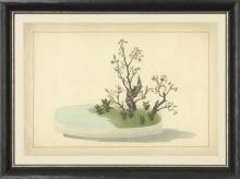 New Print Anonymous Reproduction Framed Trees Large Zen Gardens Rectangle WA-82