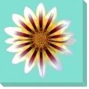 New Canvas Anne Croy Reproduction Canvas Gallery-Wrapped Framed Flowers Pla WA-3